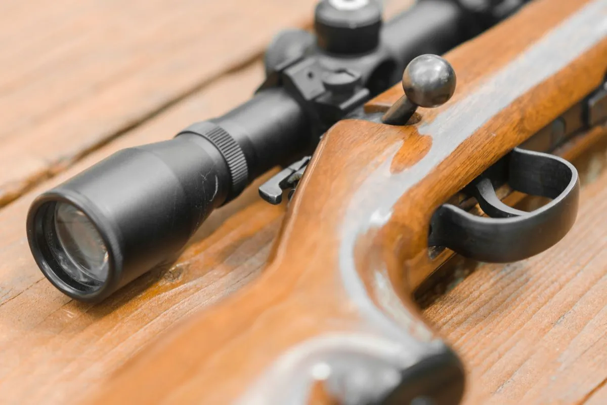 carabine 22lr