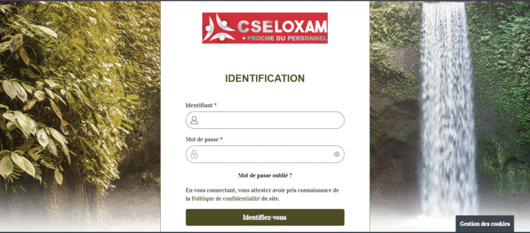 Comité d’entreprise Loxam : capture d'écran page de connexion